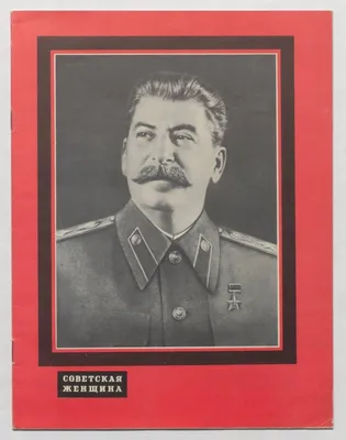Минкультуры отозвало прокатное удостоверение у фильма «Смерть Сталина» — РБК