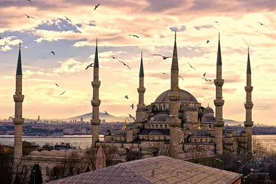 7 самых больших и самых красивых мечетей Стамбула