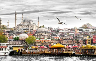 Обои чайки, дома, лодки, башни, катера, Стамбул, Турция, дворец, причалы  картинки на рабочий стол, раздел город - скачать