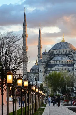 Зимний Стамбул: чем заняться в городе в несезон - РИА Новости, 