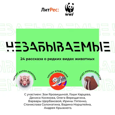 Мужество случайным не бывает: близкие рассказали о старшем сержанте Стасе  Соломатине, погибшем в СВО — ТСН 24