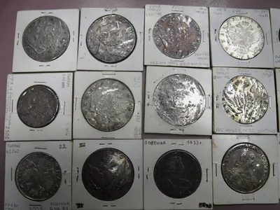 В Псковской области нашли уникальные старинные монеты | РБК Life