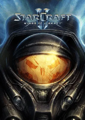 Matt's Webcorner - Starcraft 2 Automated Player