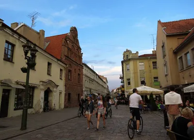 Крыши старого города, Таллина, Эстонии Стоковое Фото - изображение  насчитывающей старо, таллинн: 85021736