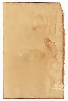 Фотография на тему Сверток старой бумаги с печатью, изолированный на белом  фоне | PressFoto