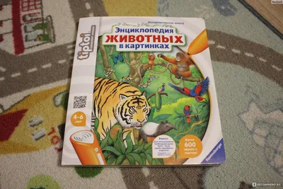 Набор стартовый игровой Ravensburger Энциклопедия животных в картинках (с  ручкой в комплекте) (00722) – фото, отзывы, характеристики в  интернет-магазине ROZETKA | Купить в Украине: Киеве, Харькове, Днепре,  Одессе, Запорожье, Львове