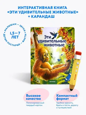 Набор подарочный ГЕОДОМ «Мифы и факты о животных», книга, большая  раскраска, игра-ходилка, карточная игр арт. 1192925 - купить в Москве оптом  и в розницу в интернет-магазине Deloks