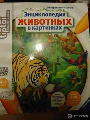 Ravensburger - купить настольные игры Ravensburger в Киеве и Украине |  Будинок Іграшок