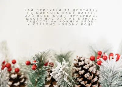 Старый Новый год 2023: красивые и прикольные открытки с праздником - МК  Новосибирск