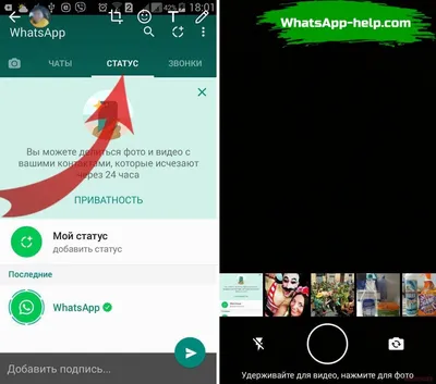 Статусы WhatsApp: всё, что нужно знать - ТелекомДом