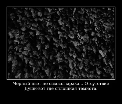 Плакат с надписью «докажи, что они ошибаются» на черном фоне. | Премиум  векторы