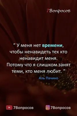 Цитаты и афоризмы на каждый день. Мужчина. | Цитаты, Мудрые цитаты,  Случайные цитаты