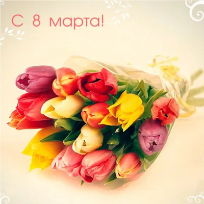 Форум CleanNow: С женским днем 8-е марта