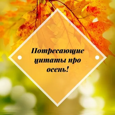 Красивые статусы про осень | Осень, Надписи мелом, Весна
