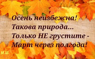 Статусы про осень позитивные - 📝 Афоризмо.ru