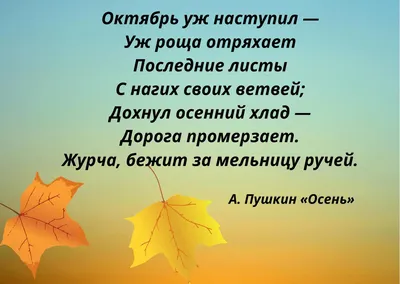 Красивые статусы и цитаты про осень | Любовь и романтика | Дзен