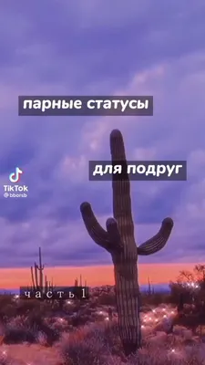 Отпустил жену с подругой в отпуск на море. Поднял свой статус доверия, но  не для жены | Несерьёзный разговор | Дзен