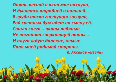 Прикольные цитаты о весне. Открытки, которые создают настроение