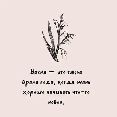 Коллекция картинок ПРО ВЕСНУ с надписями и весенними изображениями | Весна,  Смешные смайлики, Надписи