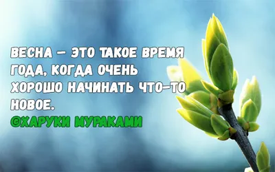 Стихи про весну | Стихи, Весна, Идеи причесок