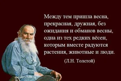 Цитаты о весне: статусы и пословицы про весну