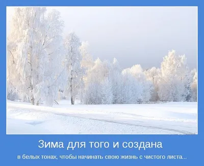 Статусы про зиму Прикольные - 📝 Афоризмо.ru