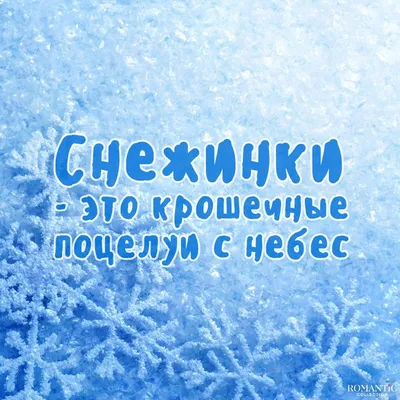 Цитаты про зиму: красивые высказывания о холодном, но красивом времени года