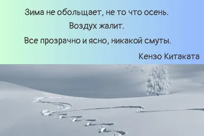 Афоризмы на тему зимы могут быть не только красивыми, но и веселыми!