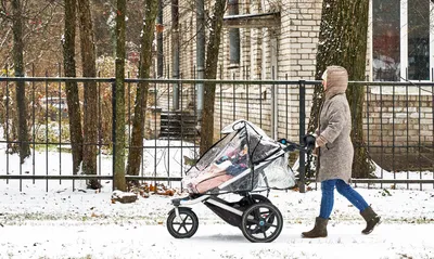 В России закрепят единый правовой статус многодетных семей - РИА Новости,  