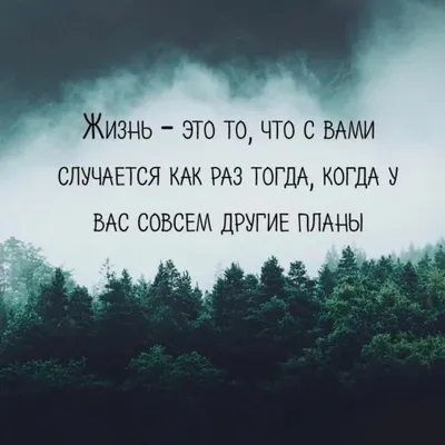 30 мудрых цитат о жизни, людях со смыслом Любимые цитаты на каждый день |  Глоток Мотивации | Дзен