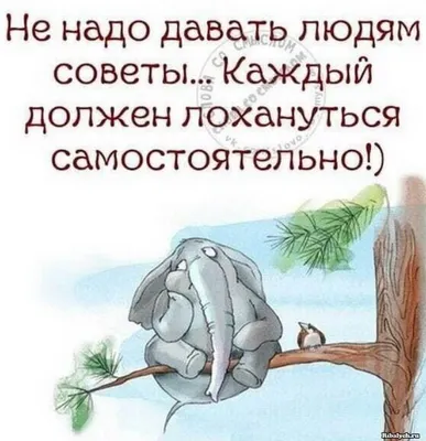 1,884 отметок «Нравится», 13 комментариев — Статусы Со смыслом (@citativk)  в Instagram: «Мы всегда стараемся для Вас. П… | Мудрые цитаты, Жизненная  мотивация, Слова