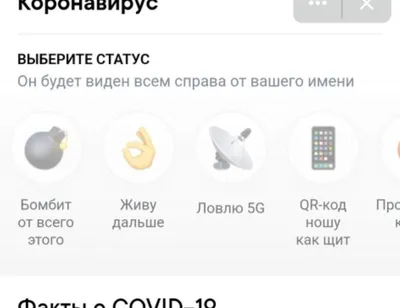 Статусы про дружбу и друзей для социальных сетей: более 50 высказываний