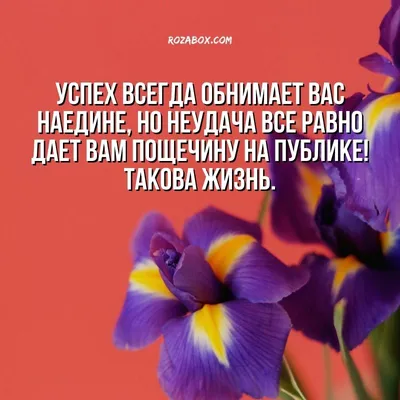 Статусы про дружбу и друзей для социальных сетей: более 50 высказываний