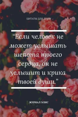 статусы #цитаты #цитата #цитатадня #мудро #жизнь #статус #мудрыемысли  #мудрыеслова #мудростьдня #мудростьжизн… | Правдивые цитаты, Жизненные  поговорки, Поговорки