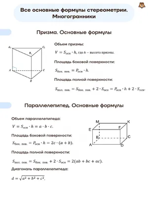 Профиль Аделия Файл Со Всеми Формулами Стереометрии | PDF