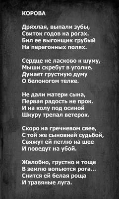 Сергей Есенин и Андрей Белый: «Россия, Россия, Россия, безумствуй, сжигая  меня!»