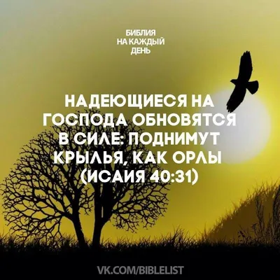 Pin by Veronika Faleeva on Стихи из Библии | Christian pictures, Bible  verses, Biblical verses