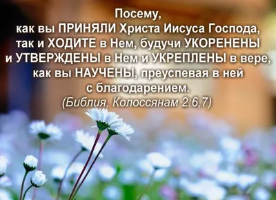 Стихи из Библии - Екклесиаст 11:9 (стихи из Библии)... | Facebook