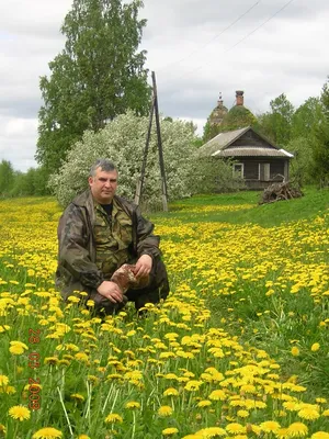 Картинки стихи и о родине и о природе (70 фото) » Картинки и статусы про  окружающий мир вокруг