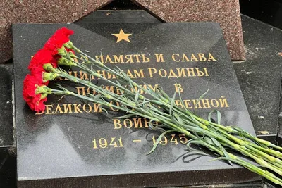 Огненные картины войны», «Свечи памяти», цветы и стихи: в Москве прошли  мероприятия к 81-й годовщине начала Великой Отечественной войны