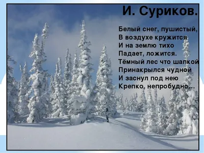 Поздравления с наступающим Новым годом 2024: подборка красивых поздравлений