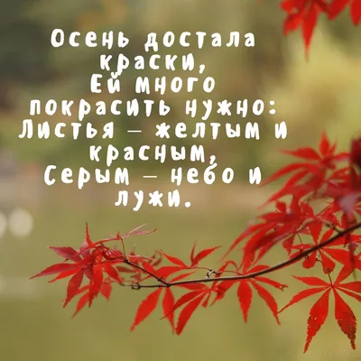 СЕНТЯБРЬ Осень достала краски, Ей много покрасить нужно: Листья – желтым и  красным, Серым – небо и лужи. ОКТЯБРЬ Дождь льет … | Осень, Счастливые  картинки, Цитаты