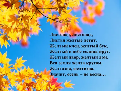 Поэтическая викторина «Осень в русской поэзии» | Муниципальное бюджетное  учреждение "Центральная городская библиотека" г. Александровск