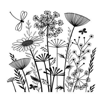 ботаническая иллюстрация, акварельные цветы, стилизованные растения Stock  Illustration | Adobe Stock
