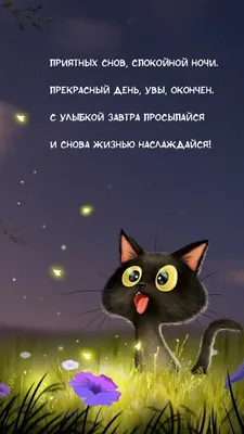 Картинки: "Спокойной ночи!" (4175 шт.)