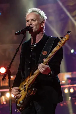 Sting - Simple English Wikipedia, the free encyclopedia