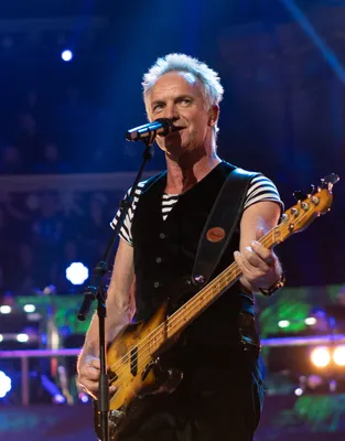 Sting (musician) - Wikipedia
