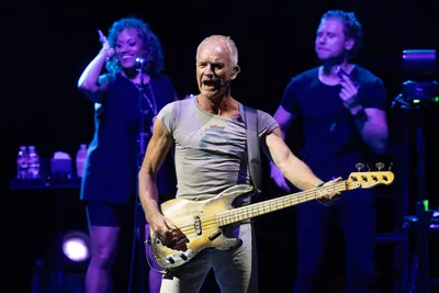 Sting - Iconic Pop Rock Singer Songwriter | uDiscover Music