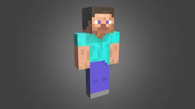 Minecraft Steve (Free Template For a 3D Pen)