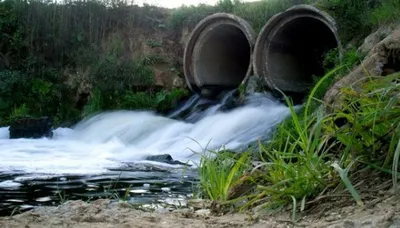 Влияние сточных вод на воду поверхностных водоемов - лаборатория Веста